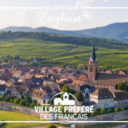 Vue Splendide Au Coeur Des Vignes Apartment Bergheim Luaran gambar