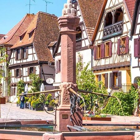 Vue Splendide Au Coeur Des Vignes Apartment Bergheim Luaran gambar