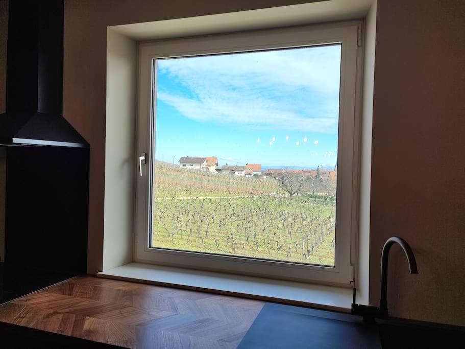 Vue Splendide Au Coeur Des Vignes Apartment Bergheim Luaran gambar