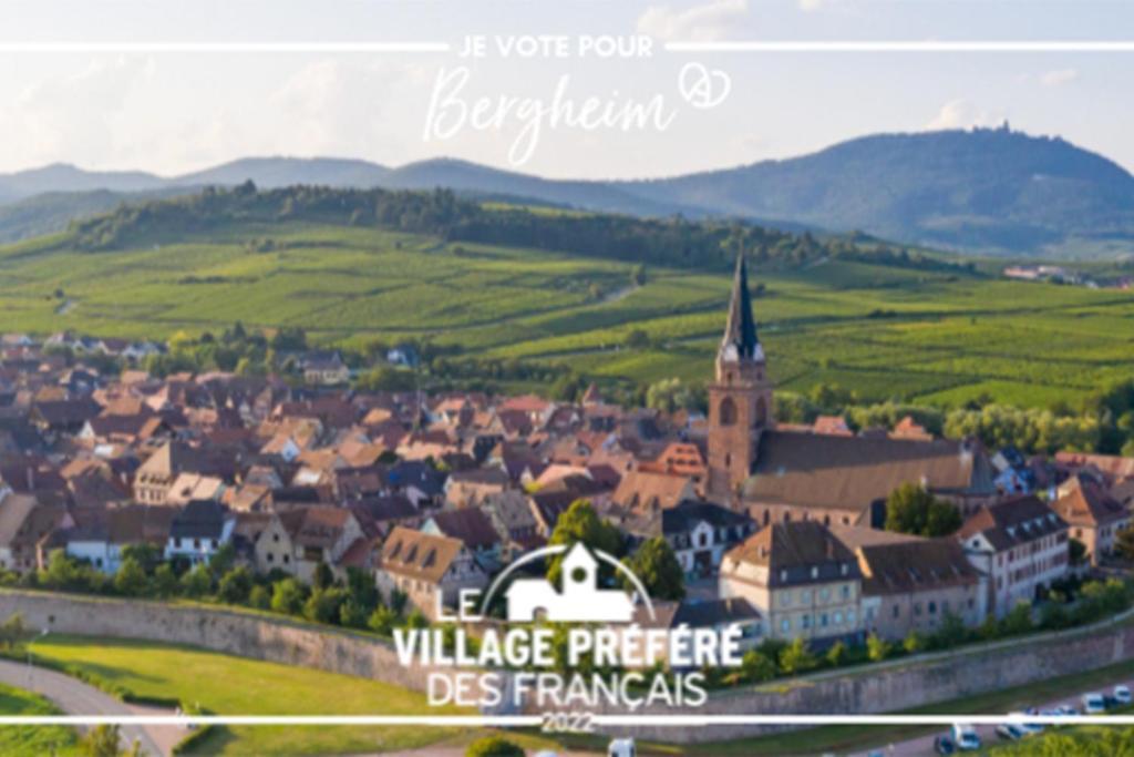 Vue Splendide Au Coeur Des Vignes Apartment Bergheim Luaran gambar