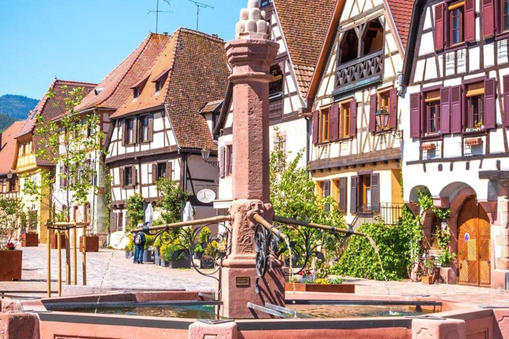 Vue Splendide Au Coeur Des Vignes Apartment Bergheim Luaran gambar