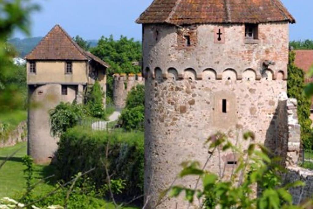 Vue Splendide Au Coeur Des Vignes Apartment Bergheim Luaran gambar
